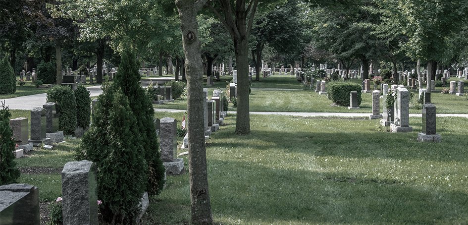Cemetery with Green Grass